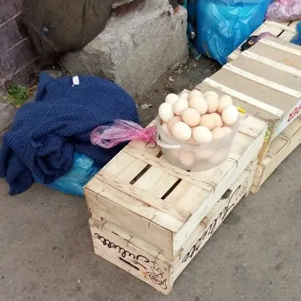 egg