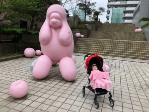 pink-poodle-in-fukuoka