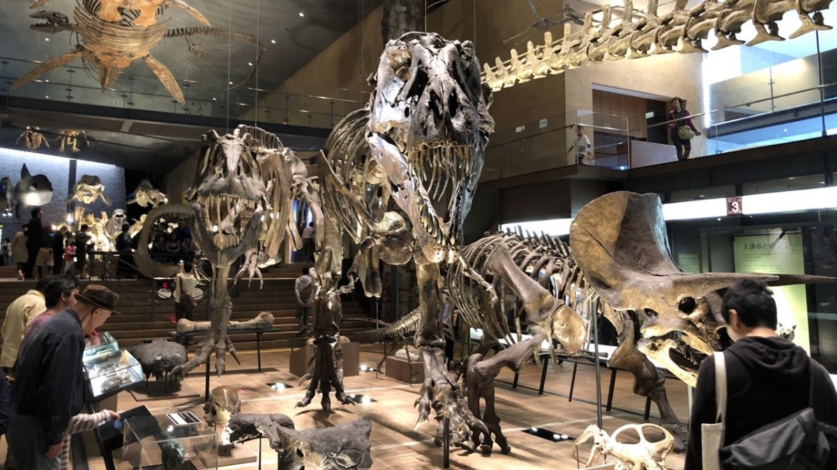 恐竜にビックリ 北九州市いのちのたび博物館は親子で楽しめる Kireina Mama