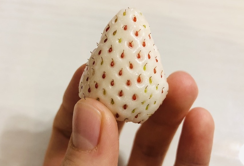 white-strawberry