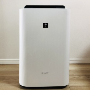 air-cleaner
