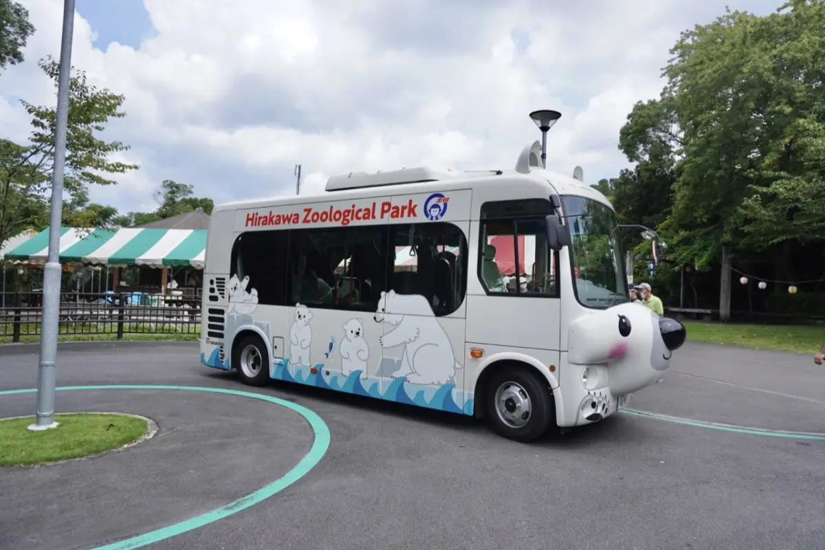 bus