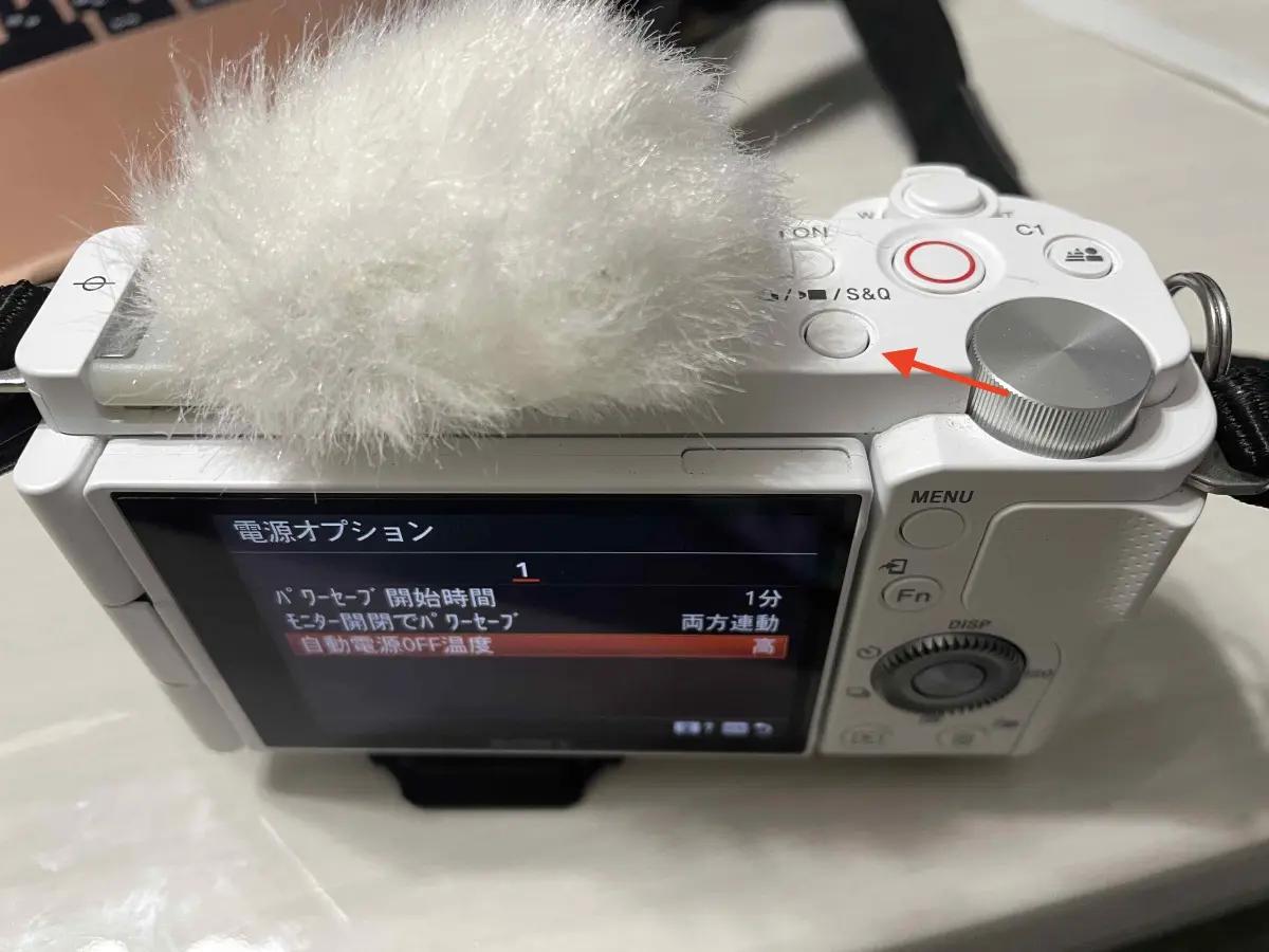 sonyzve10-camera