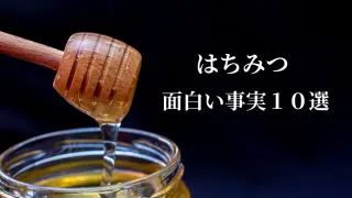 honey
